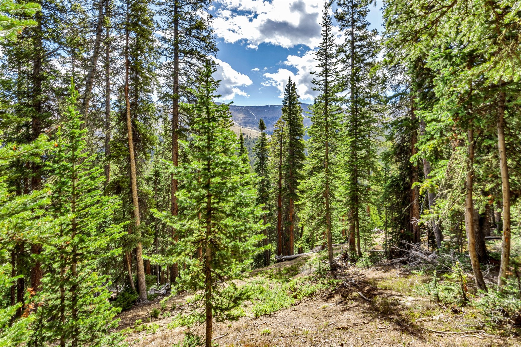 413 Carroll Lane Breckenridge CO 80424