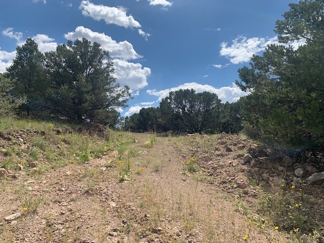 188 Looters Lane Hillside CO 81232