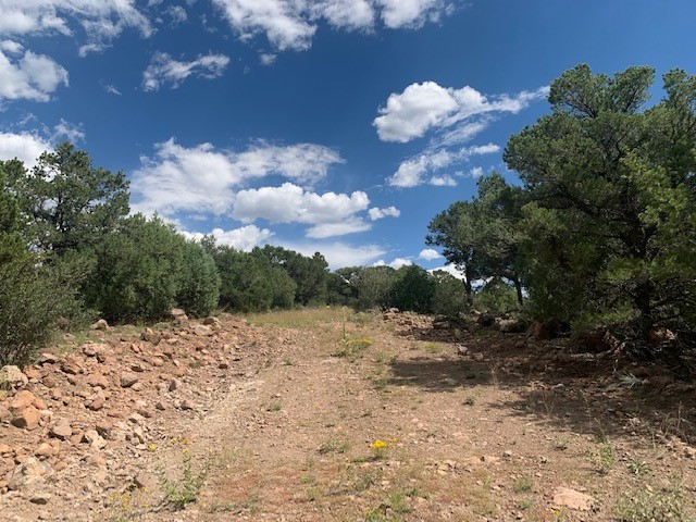 188 Looters Lane Hillside CO 81232