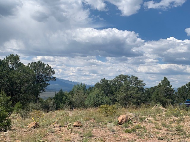 188 Looters Lane Hillside CO 81232