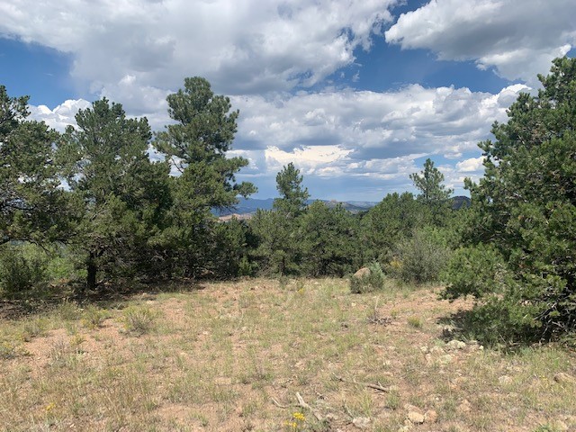 188 Looters Lane Hillside CO 81232