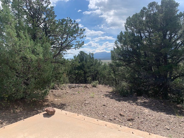 188 Looters Lane Hillside CO 81232