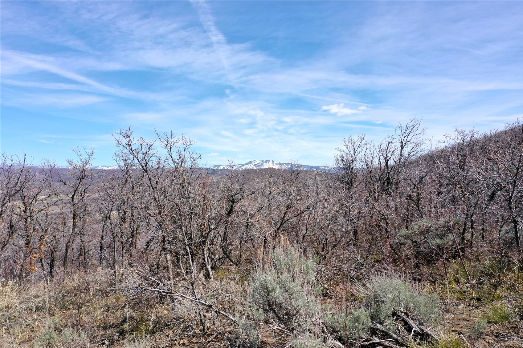 25270 Bella Vista Circle Steamboat Springs CO 80477