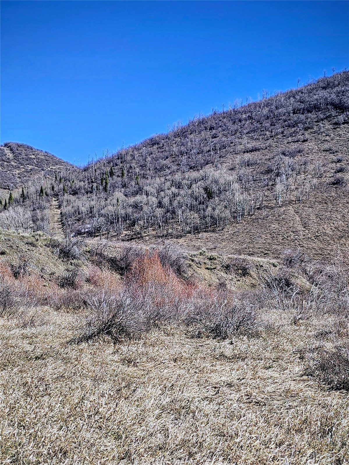 Tbd Rcr 50 Milner CO 80487