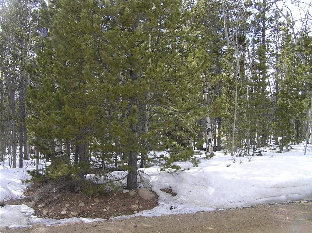 452 Bobcat Lane Fairplay CO 80440