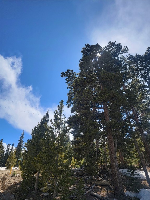 452 Bobcat Lane Fairplay CO 80440