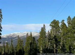 452 Bobcat Lane Fairplay CO 80440