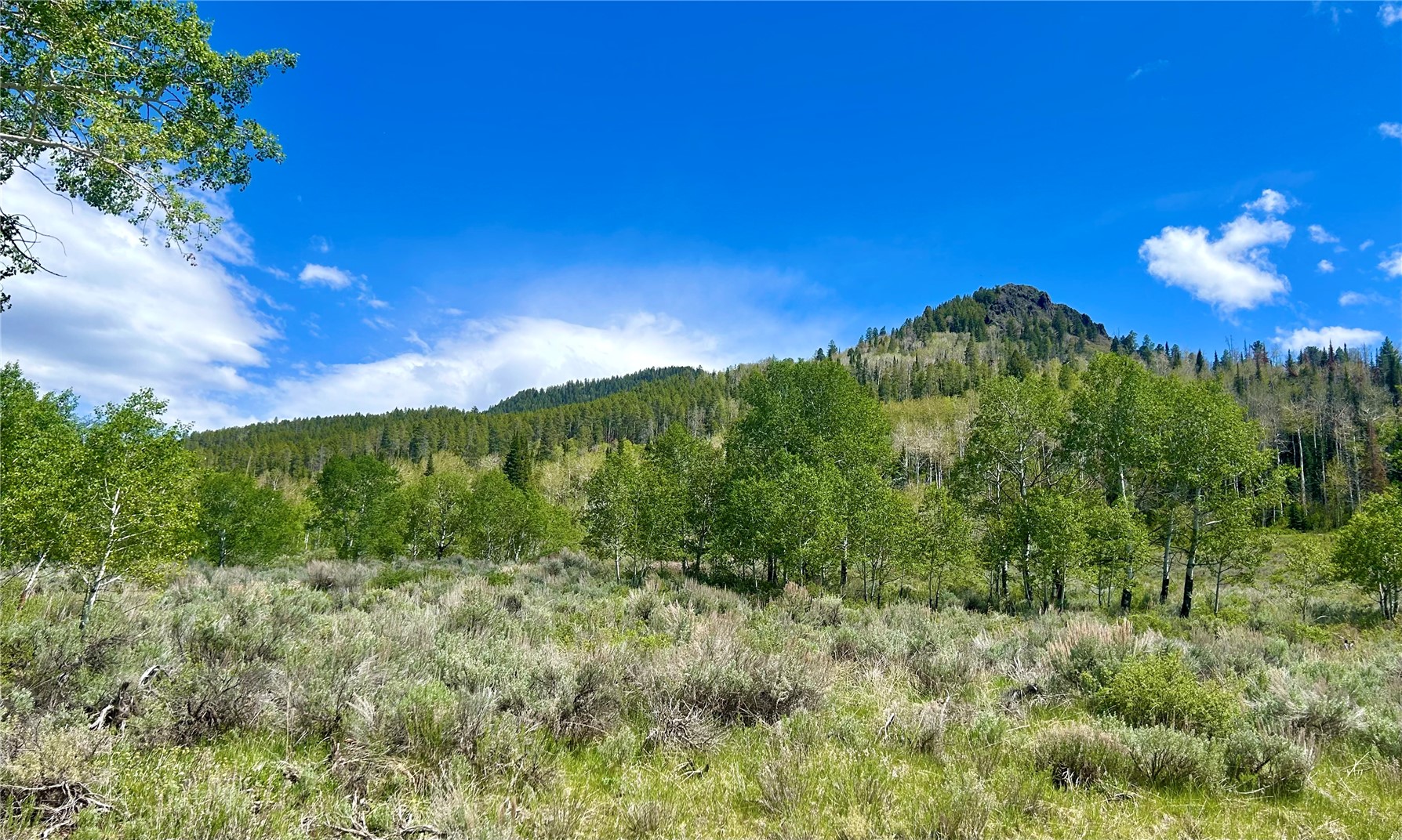 23955 Arapahoe Road Oak Creek CO 80467