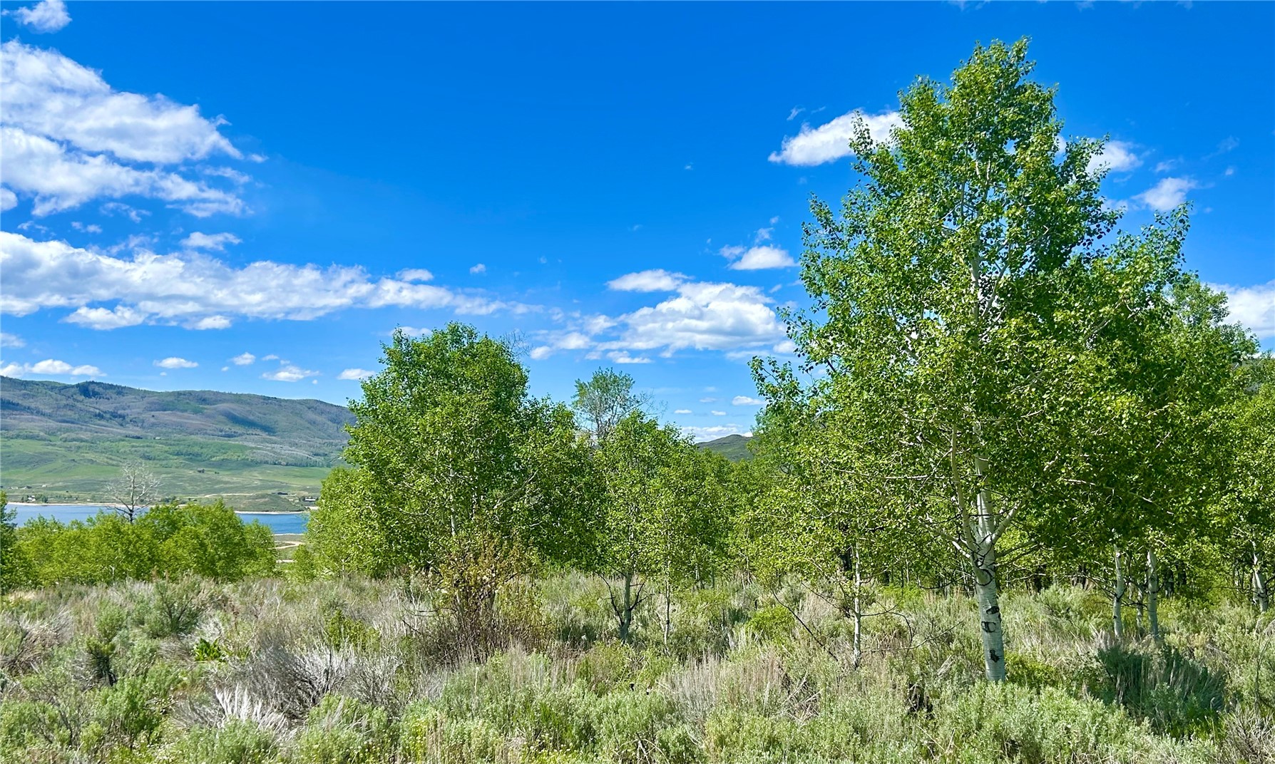 23955 Arapahoe Road Oak Creek CO 80467