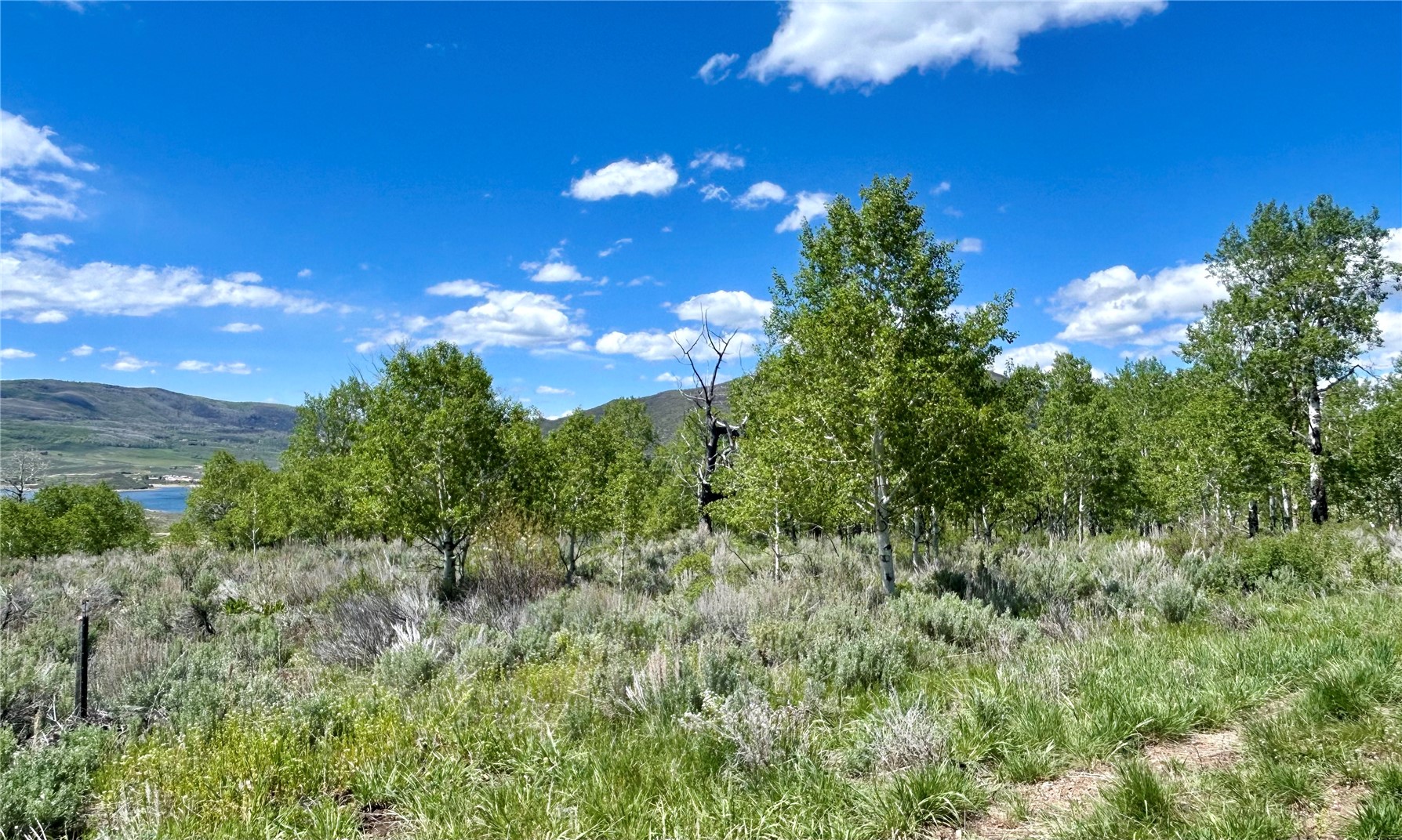 23955 Arapahoe Road Oak Creek CO 80467