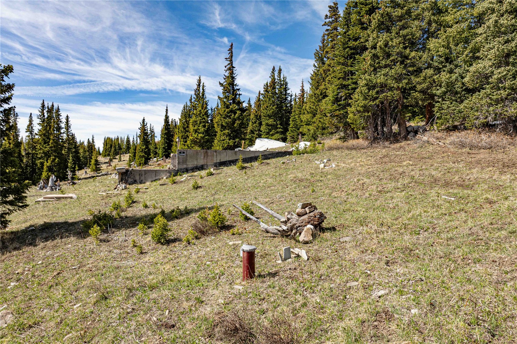 392 Pyrite Place Alma CO 80440