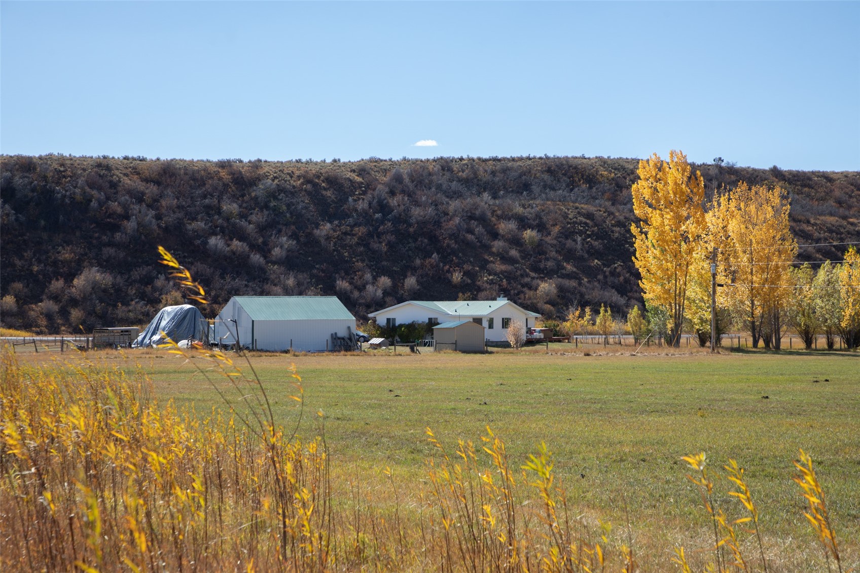 7950 County Road 65 Hayden CO 81639