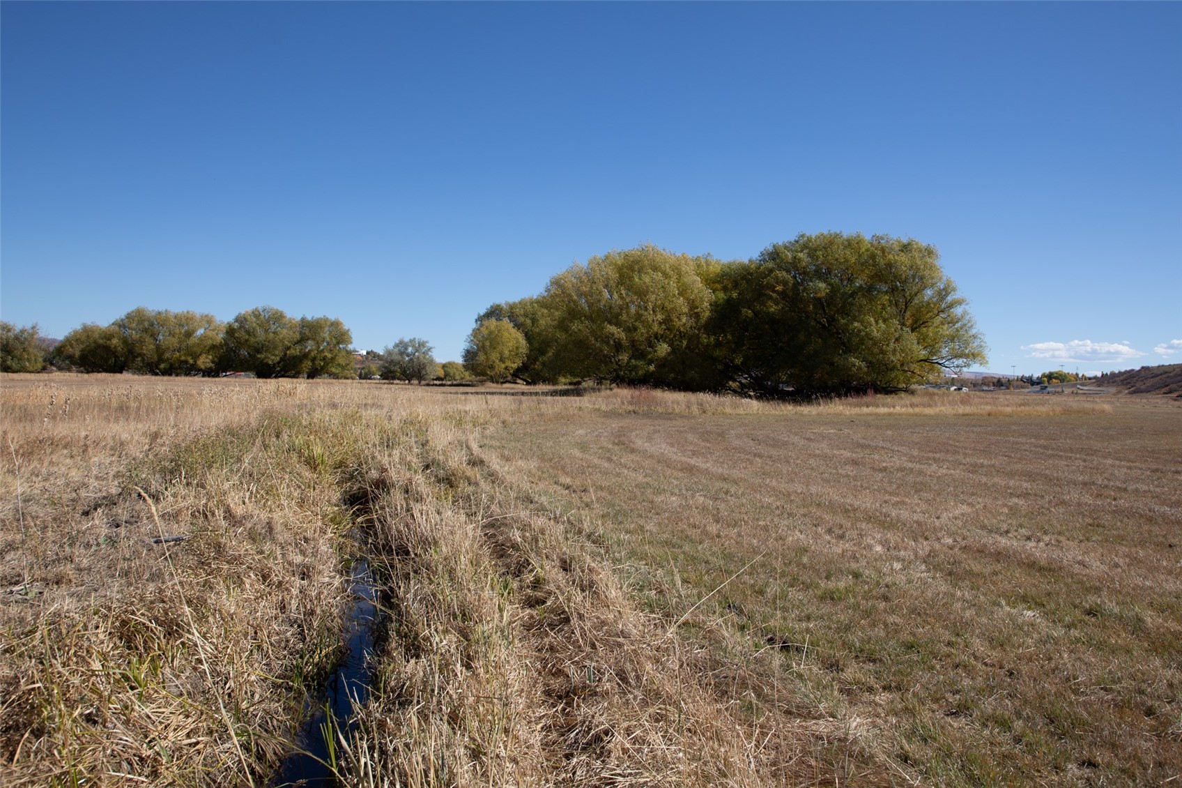 7950 County Road 65 Hayden CO 81639