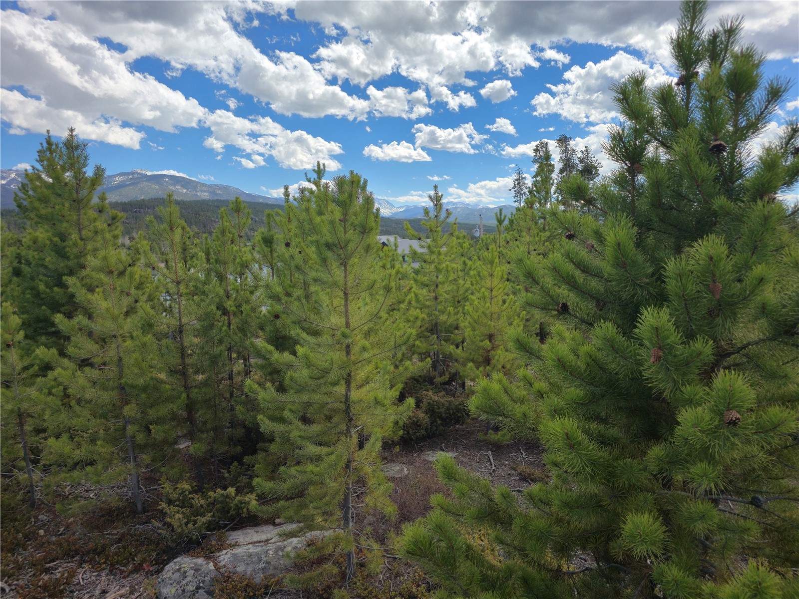 245 County Road 444 Grand Lake CO 80447