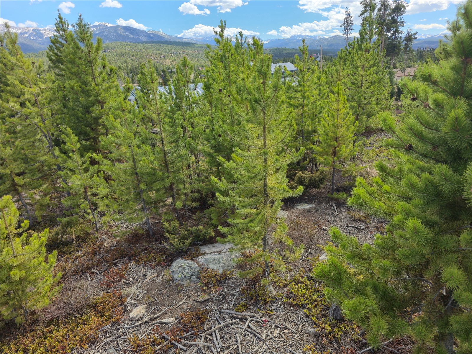 245 County Road 444 Grand Lake CO 80447