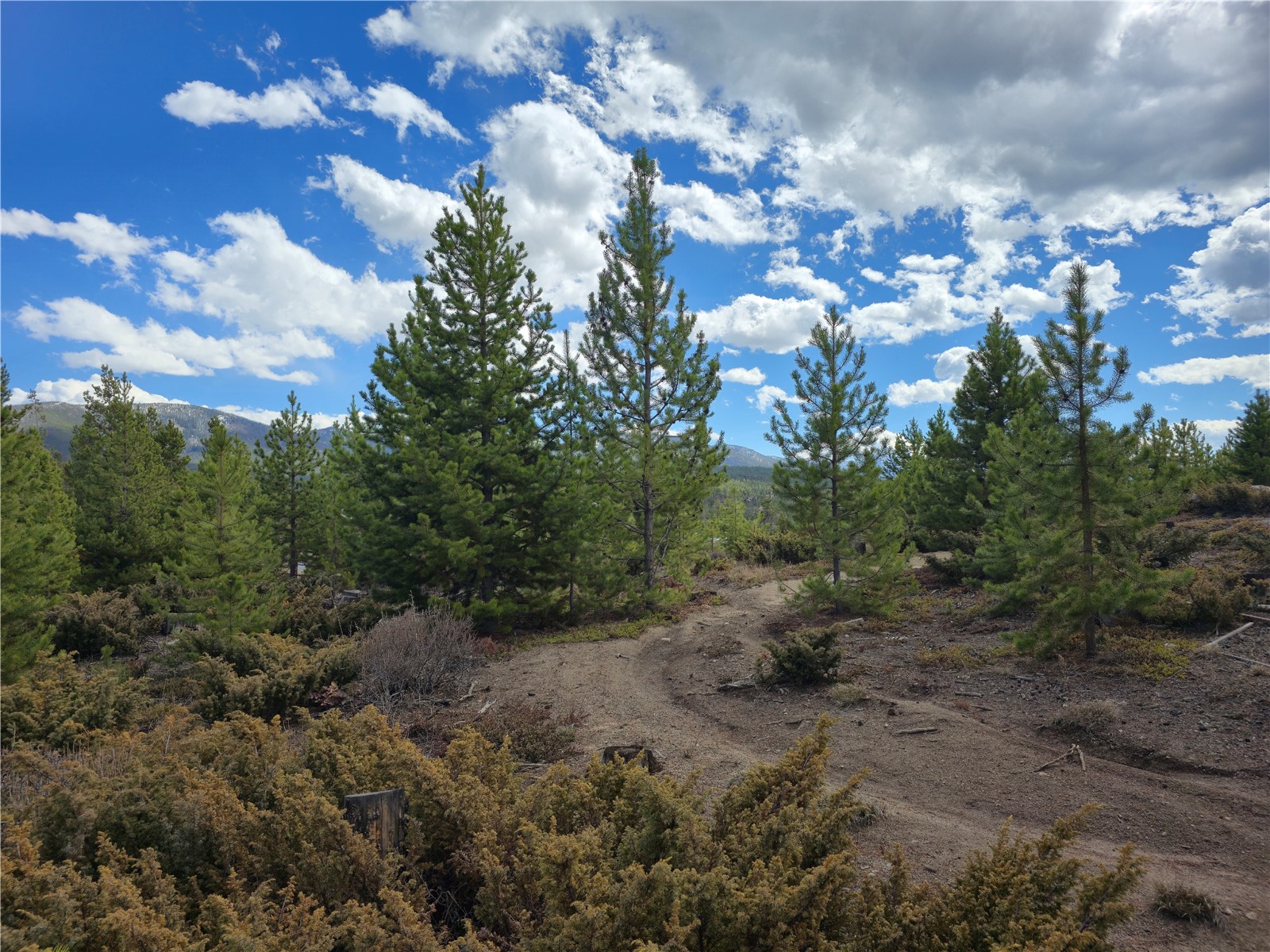 245 County Road 444 Grand Lake CO 80447