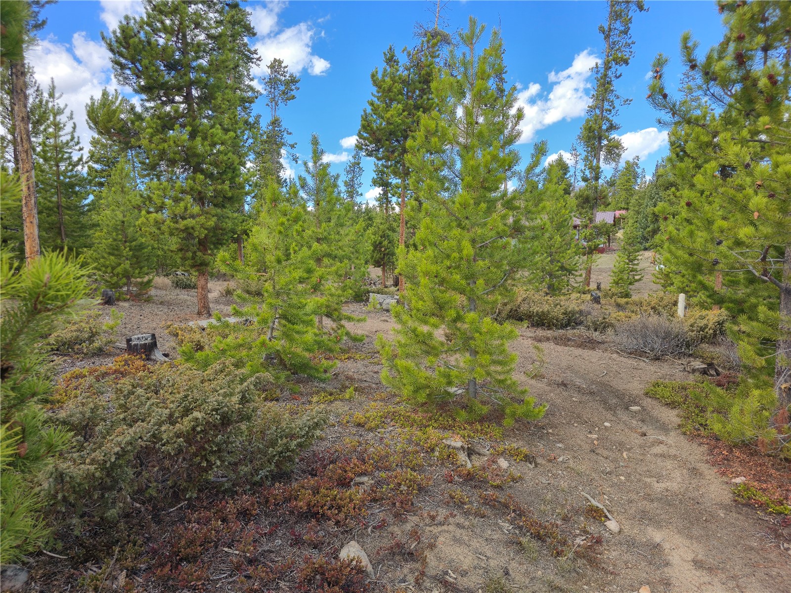 245 County Road 444 Grand Lake CO 80447