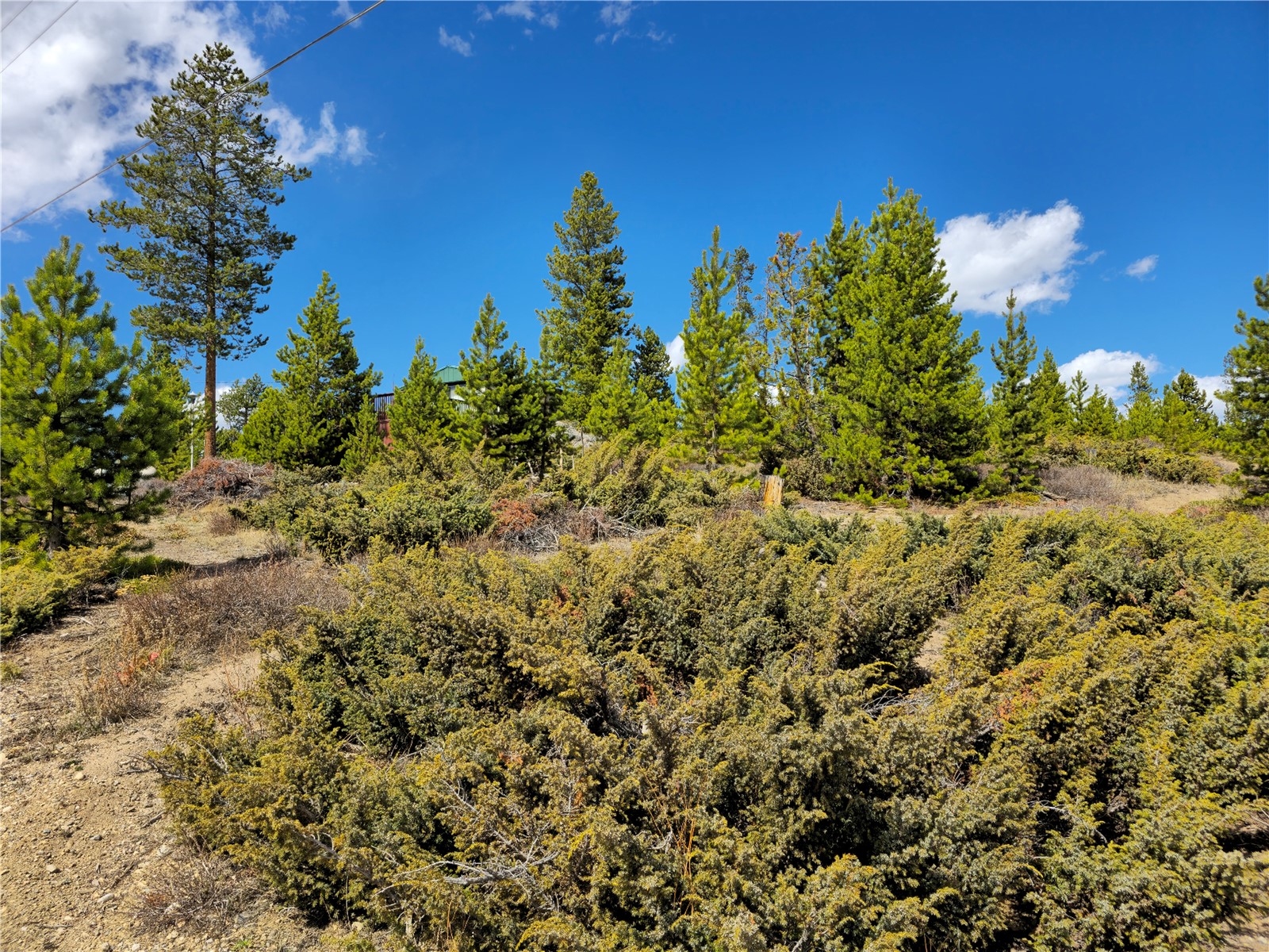245 County Road 444 Grand Lake CO 80447