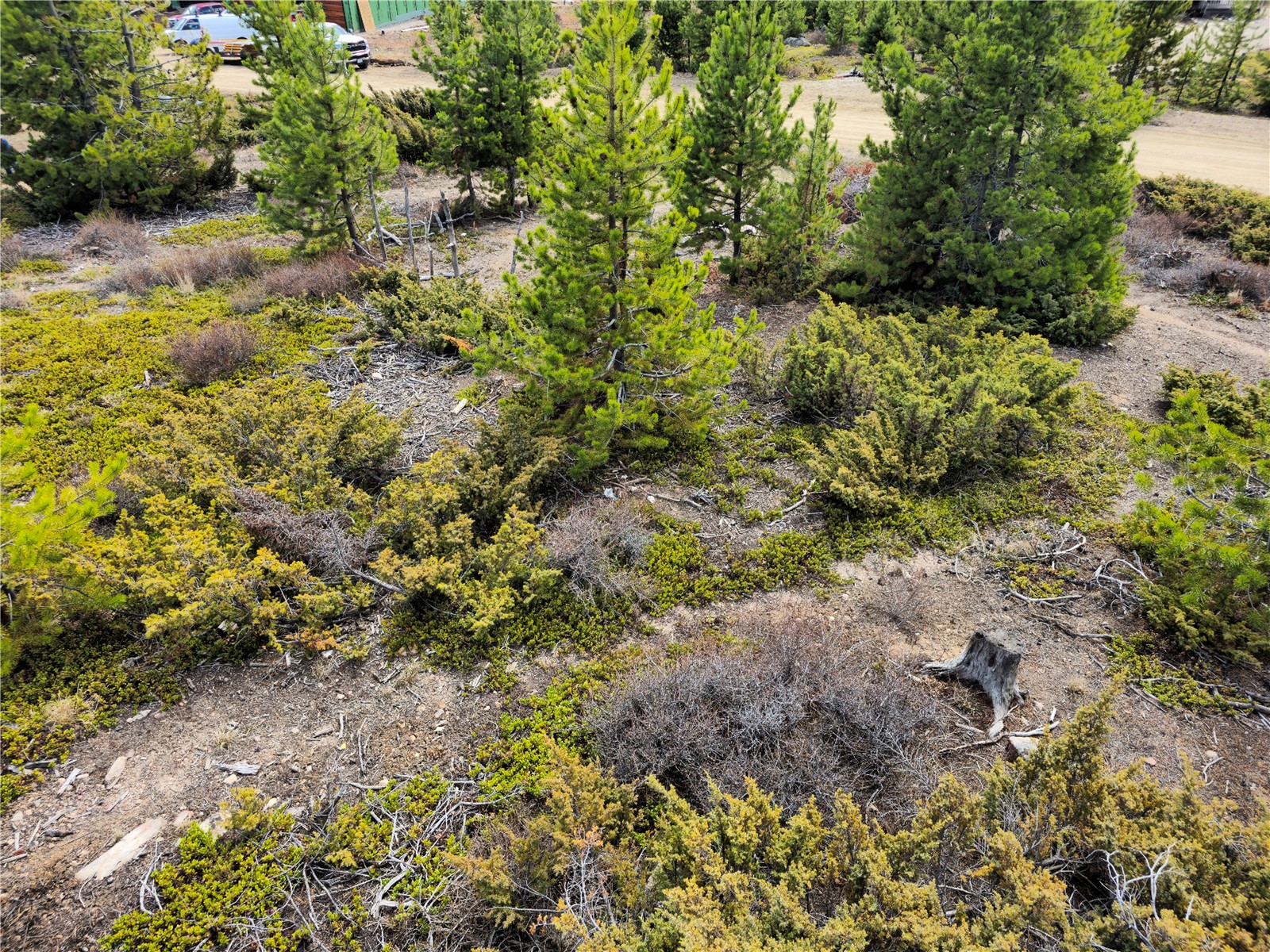 245 County Road 444 Grand Lake CO 80447