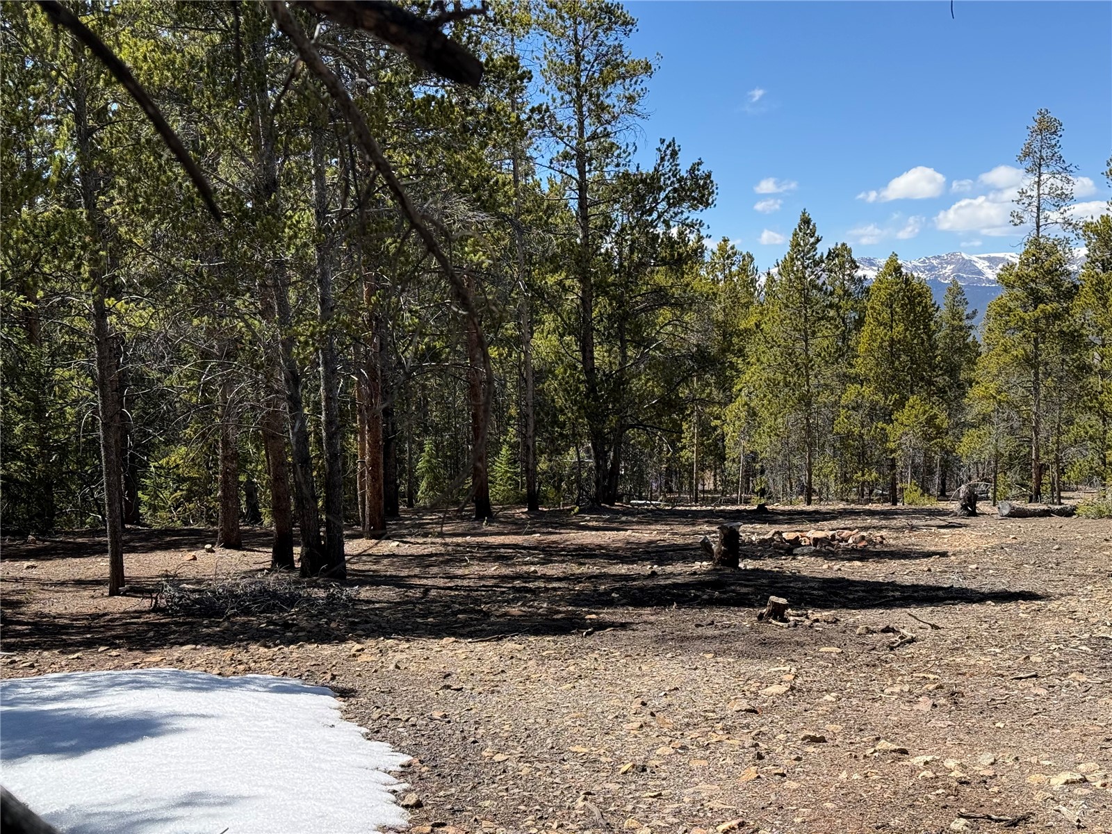 966 Lady Alice Leadville CO 80461