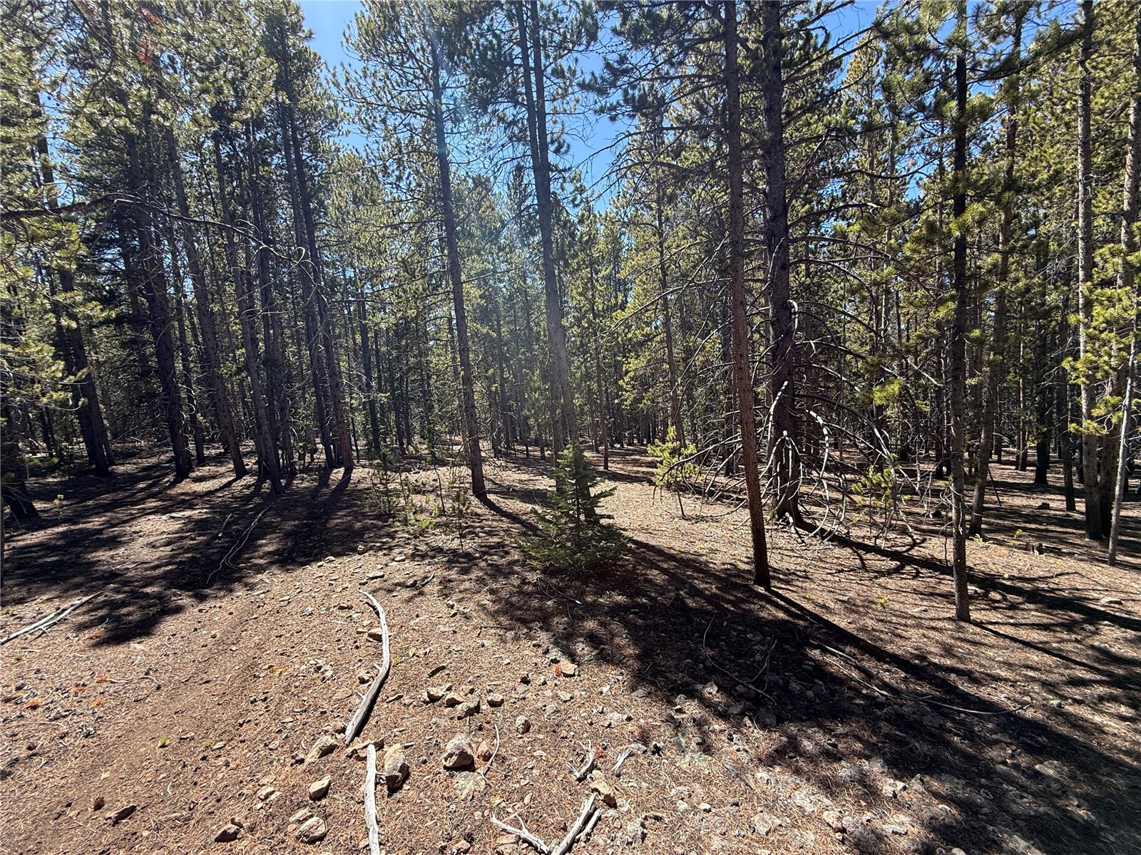966 Lady Alice Leadville CO 80461