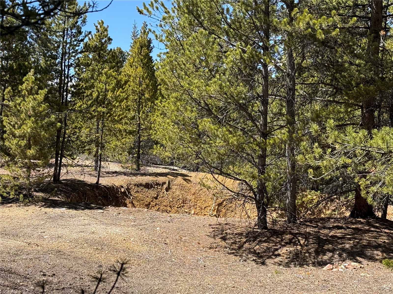 966 Lady Alice Leadville CO 80461