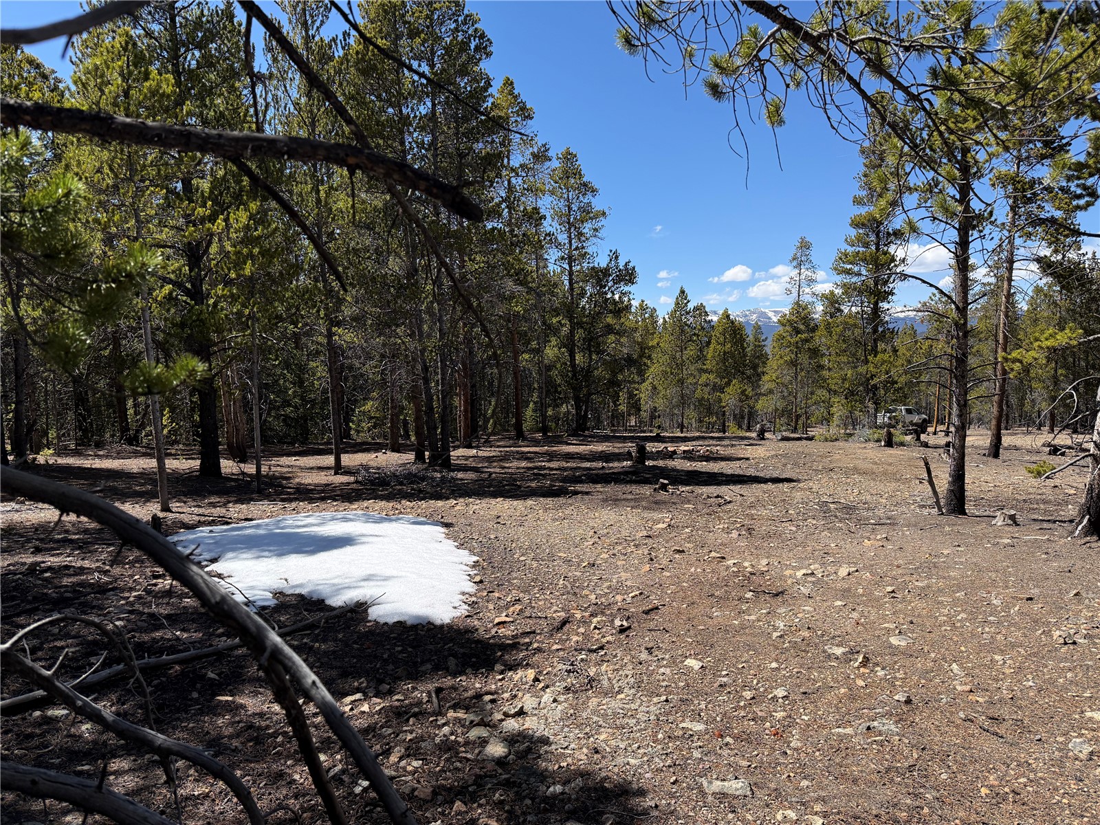 966 Lady Alice Leadville CO 80461