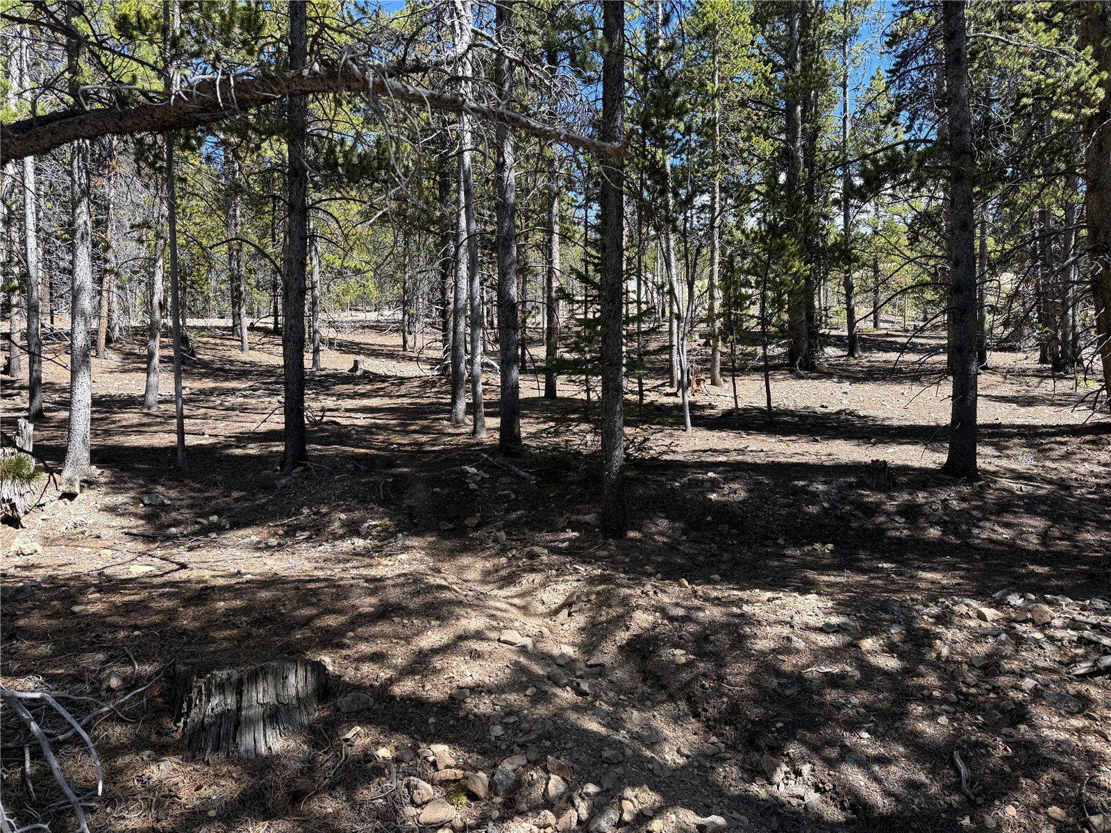 966 Lady Alice Leadville CO 80461
