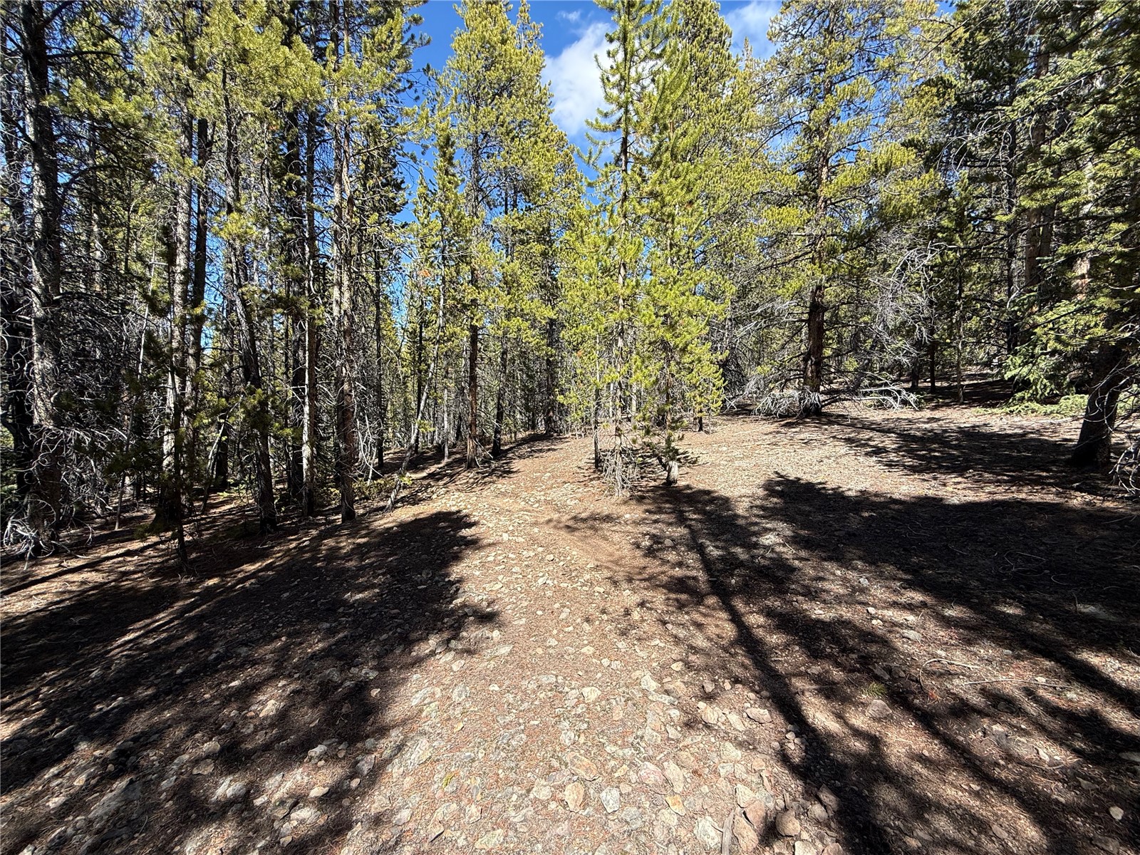 966 Lady Alice Leadville CO 80461