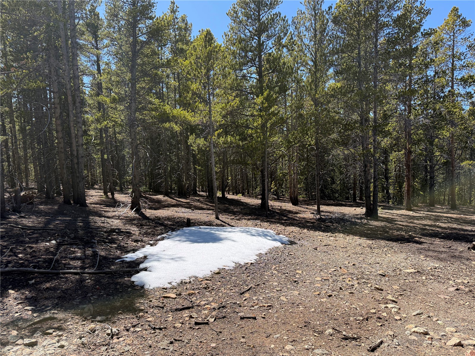 966 Lady Alice Leadville CO 80461