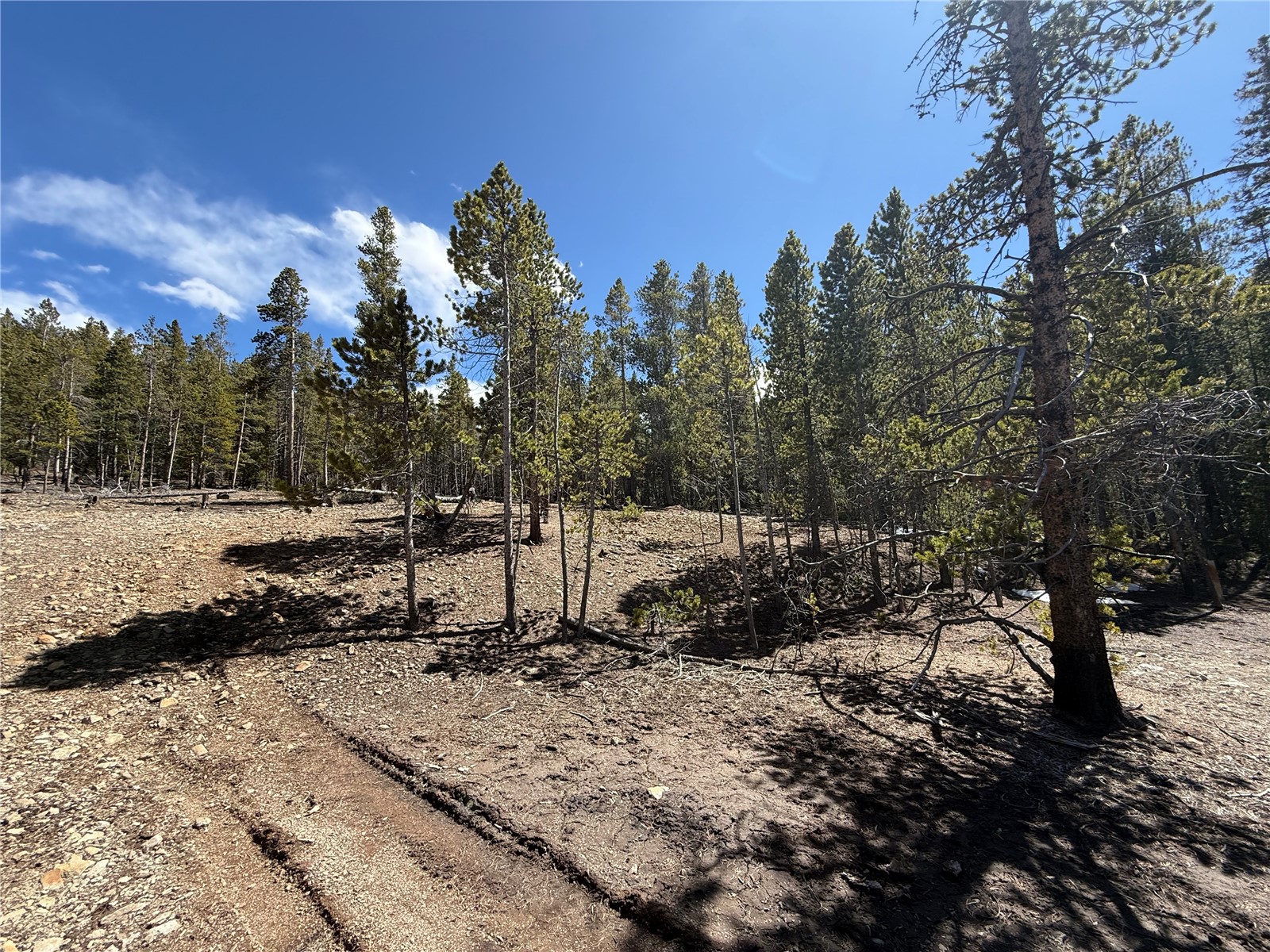 966 Lady Alice Leadville CO 80461