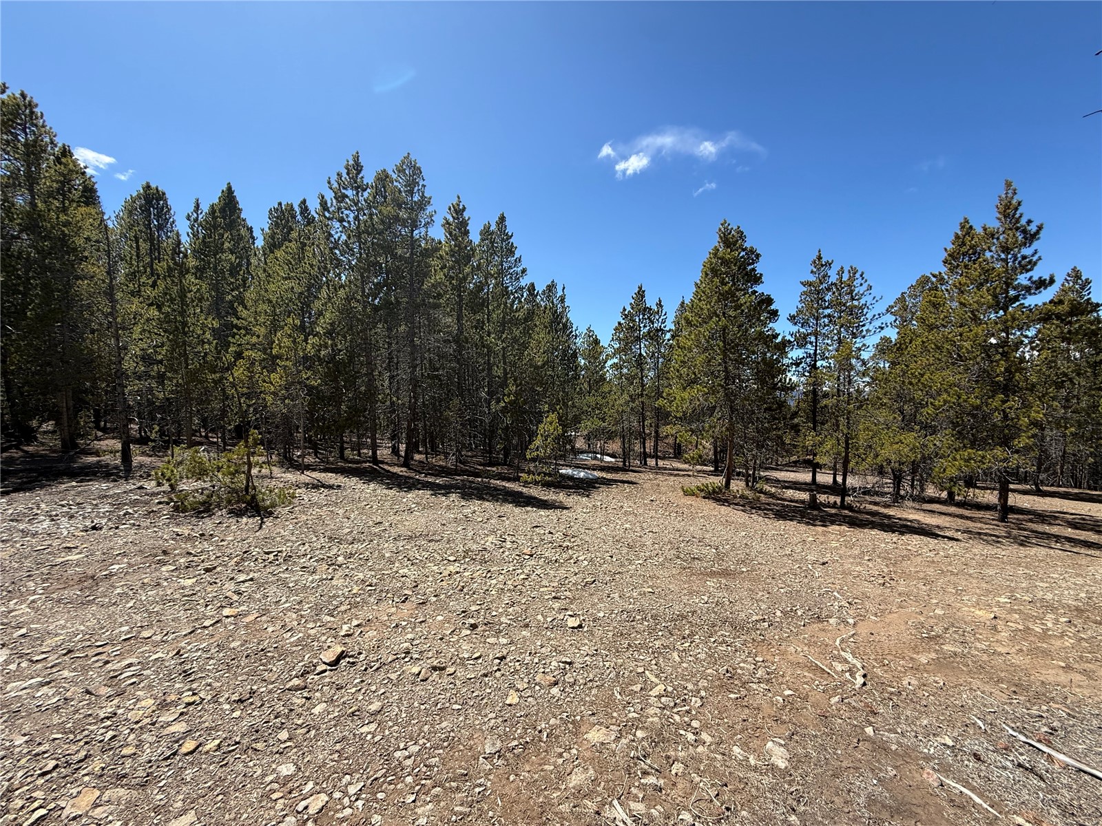 966 Lady Alice Leadville CO 80461