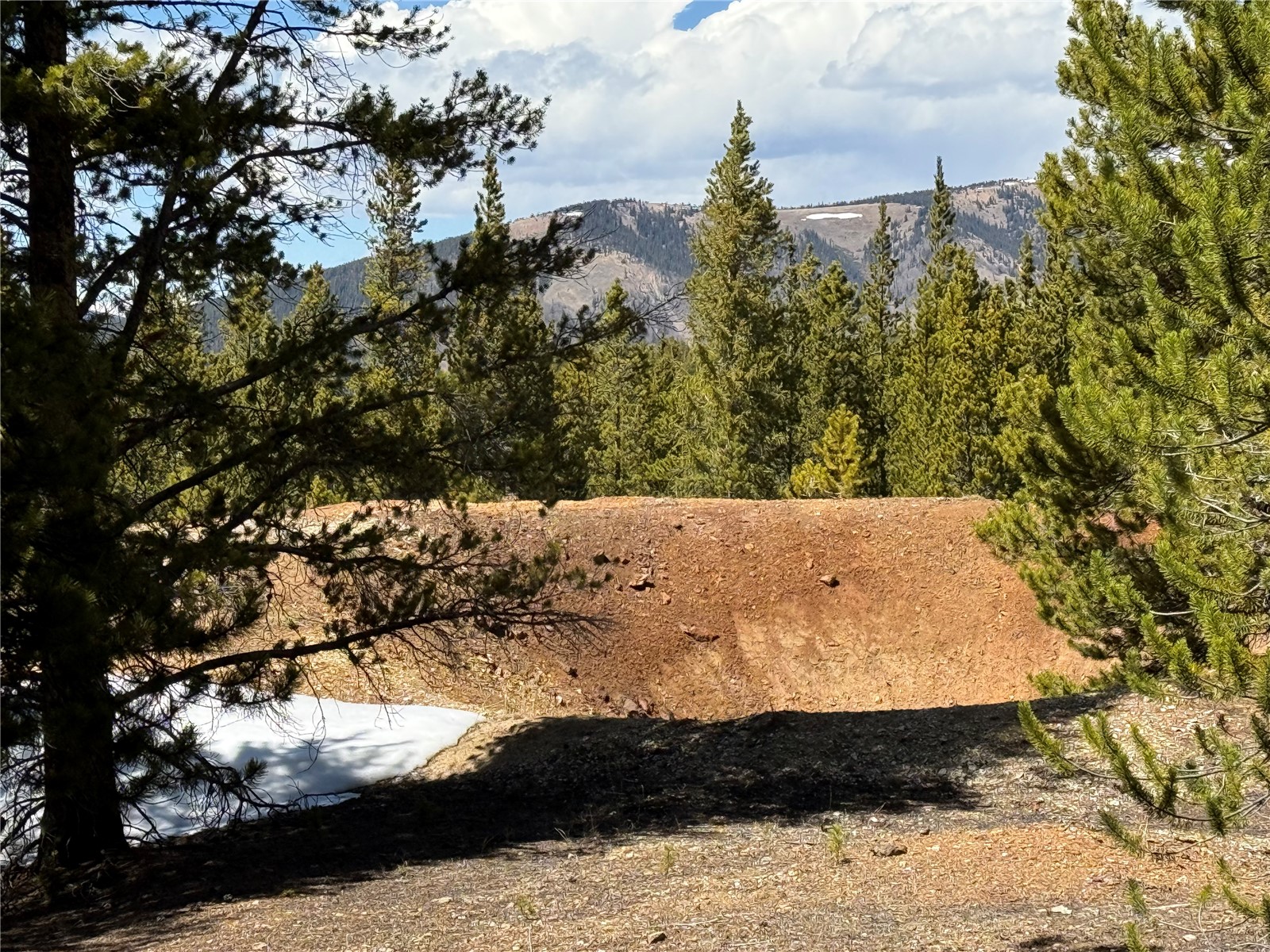 966 Lady Alice Leadville CO 80461
