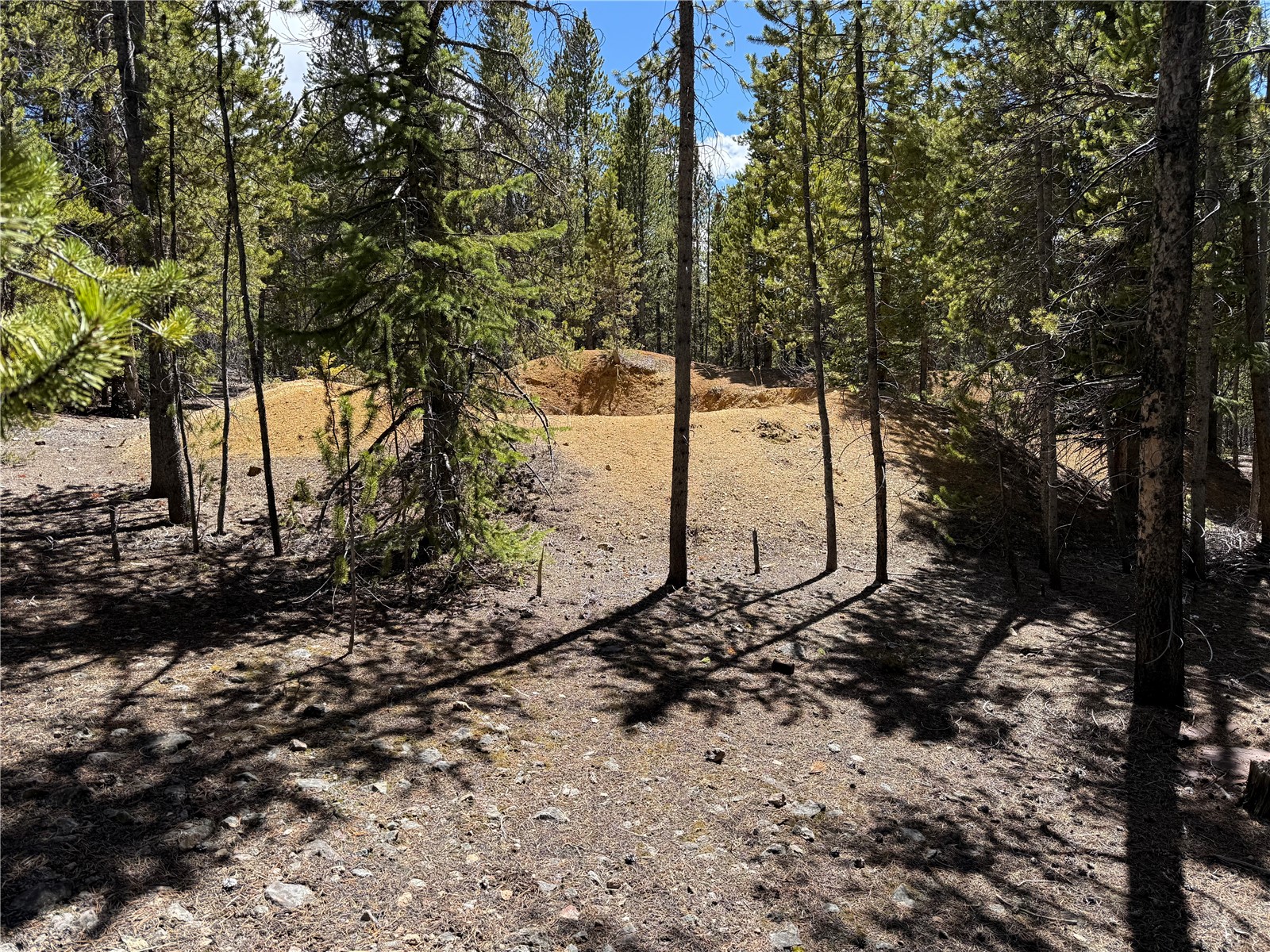 966 Lady Alice Leadville CO 80461
