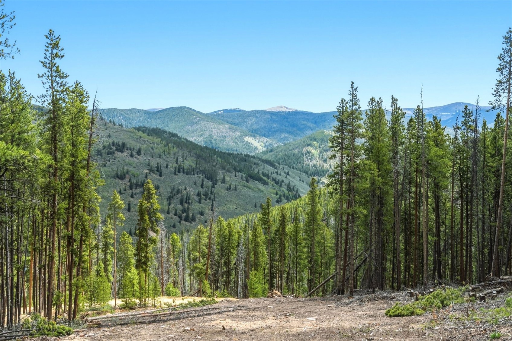 653 Summit Gulch Road Breckenridge CO 80424