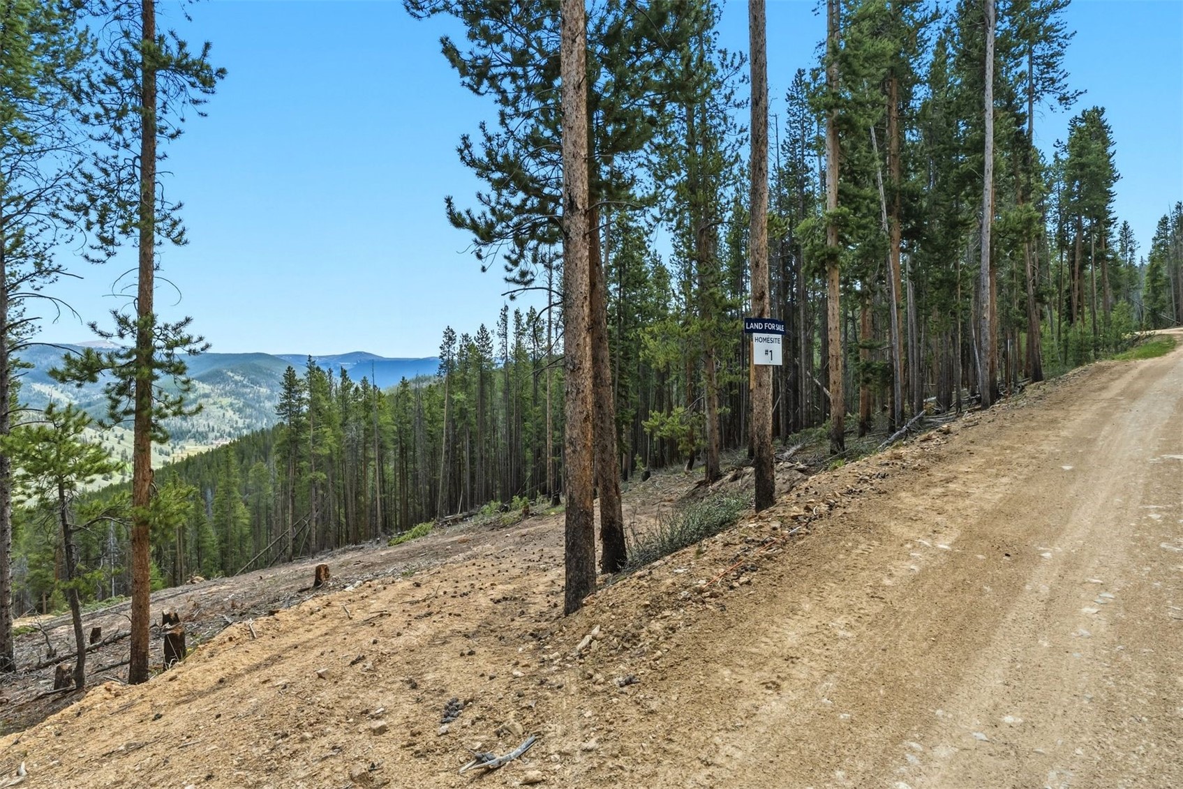 653 Summit Gulch Road Breckenridge CO 80424