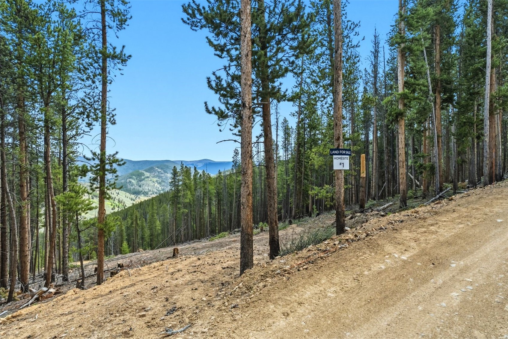 653 Summit Gulch Road Breckenridge CO 80424