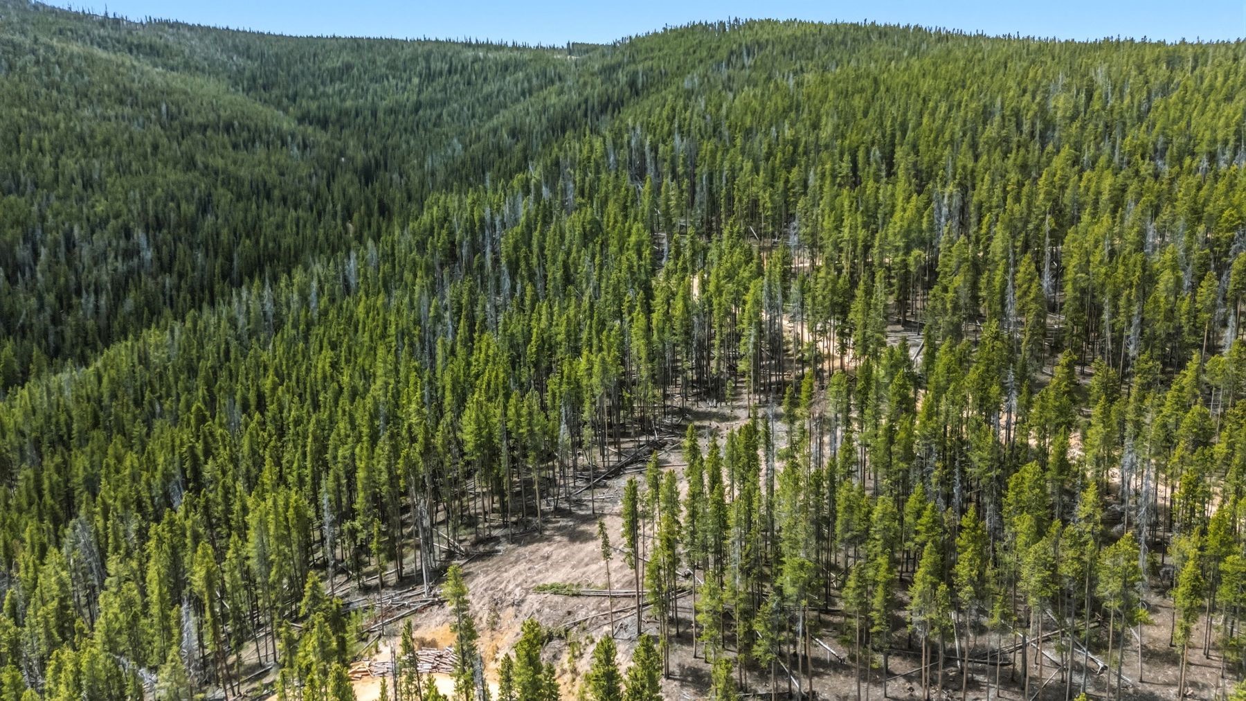 653 Summit Gulch Road Breckenridge CO 80424