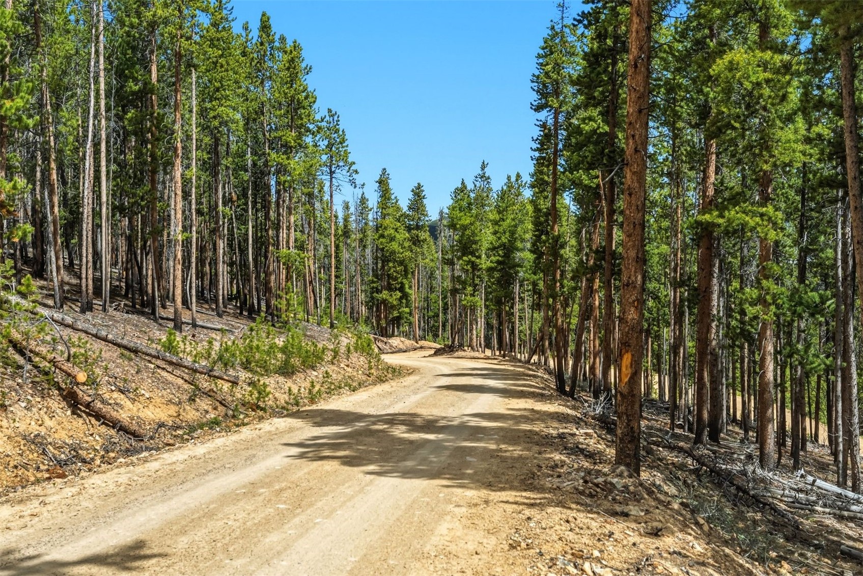 653 Summit Gulch Road Breckenridge CO 80424