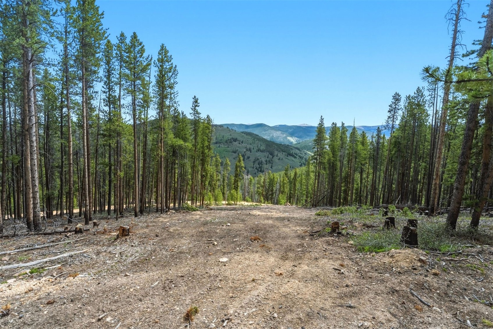 653 Summit Gulch Road Breckenridge CO 80424