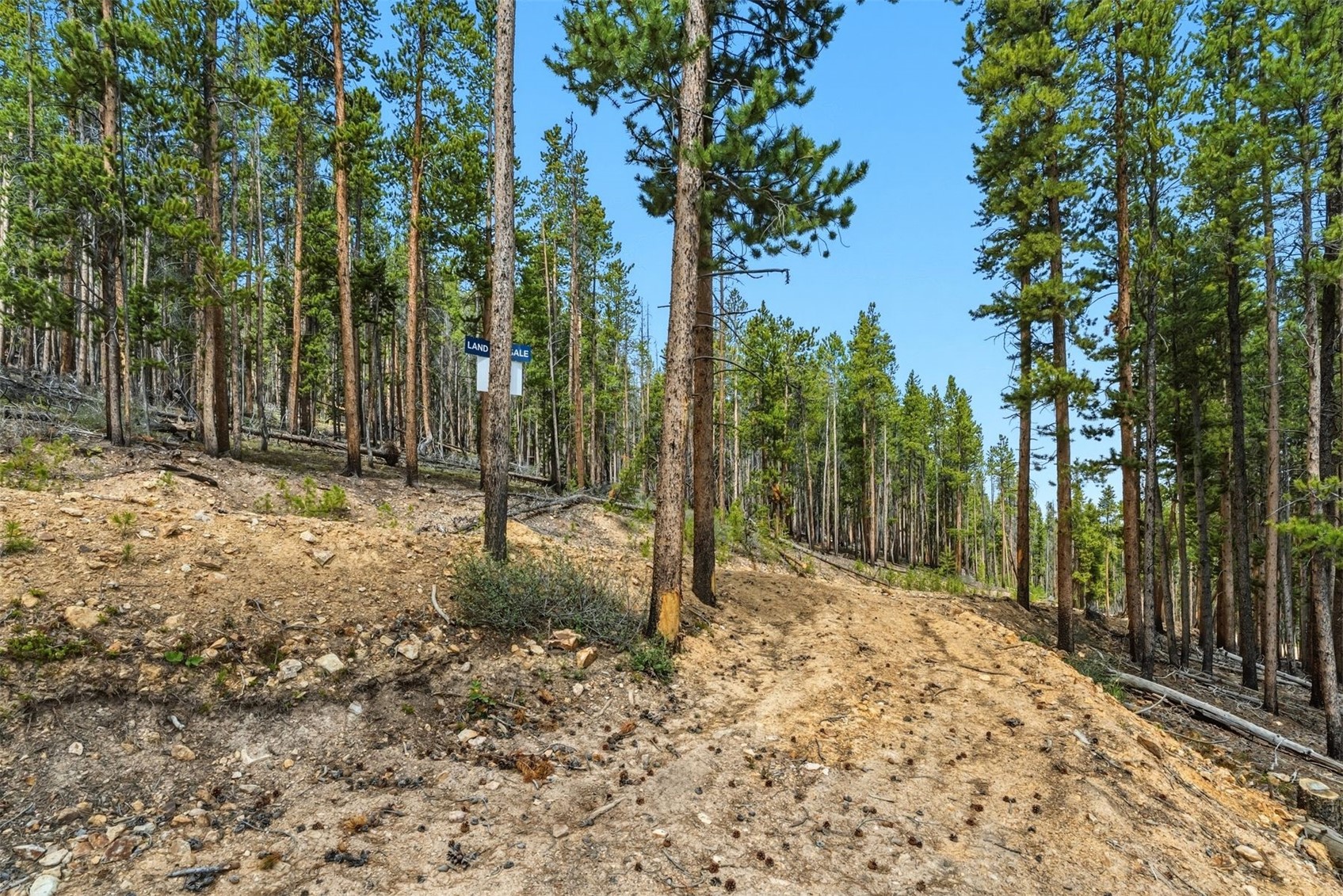 653 Summit Gulch Road Breckenridge CO 80424