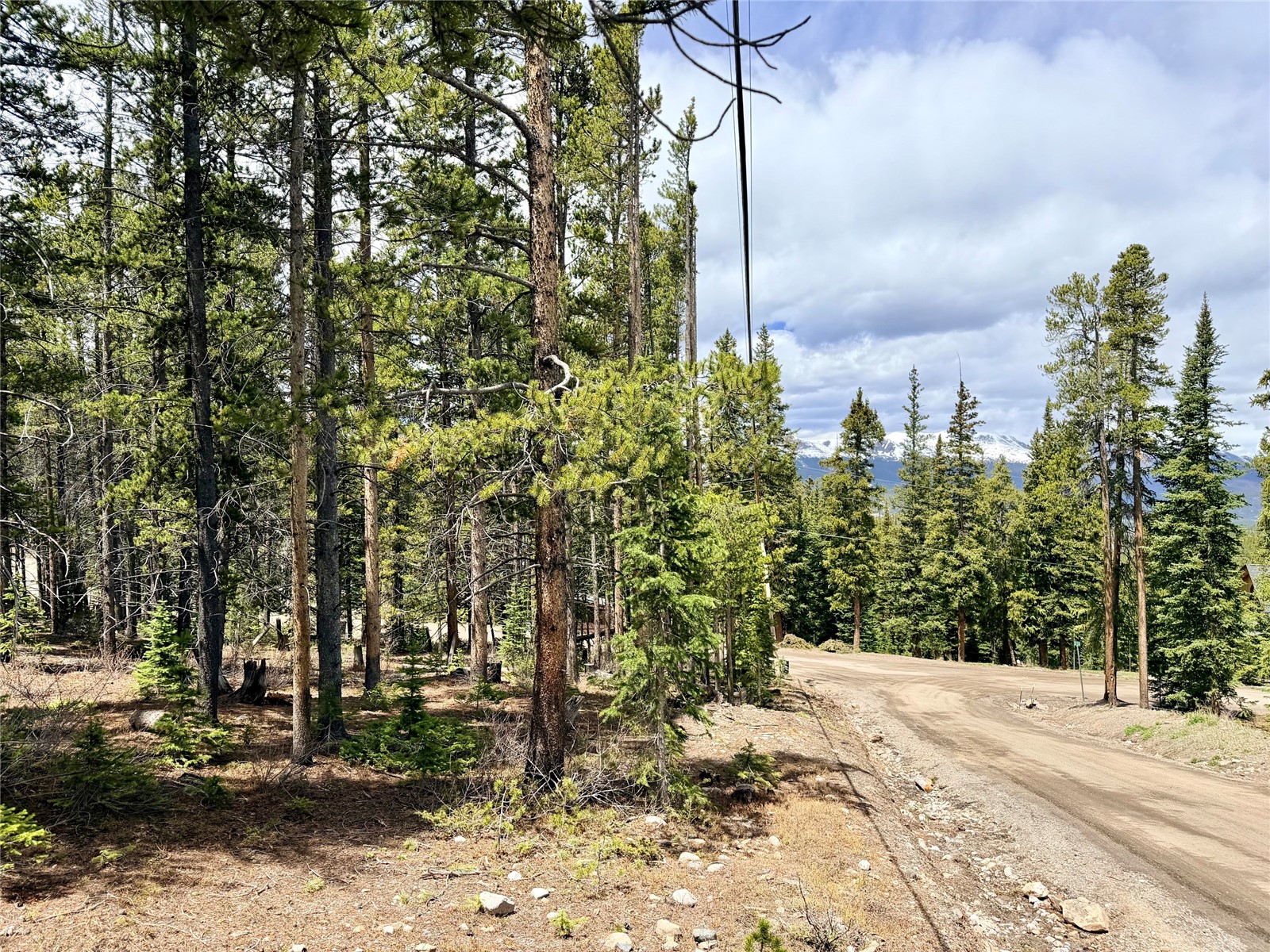 0118 Cr 535 Breckenridge CO 80424