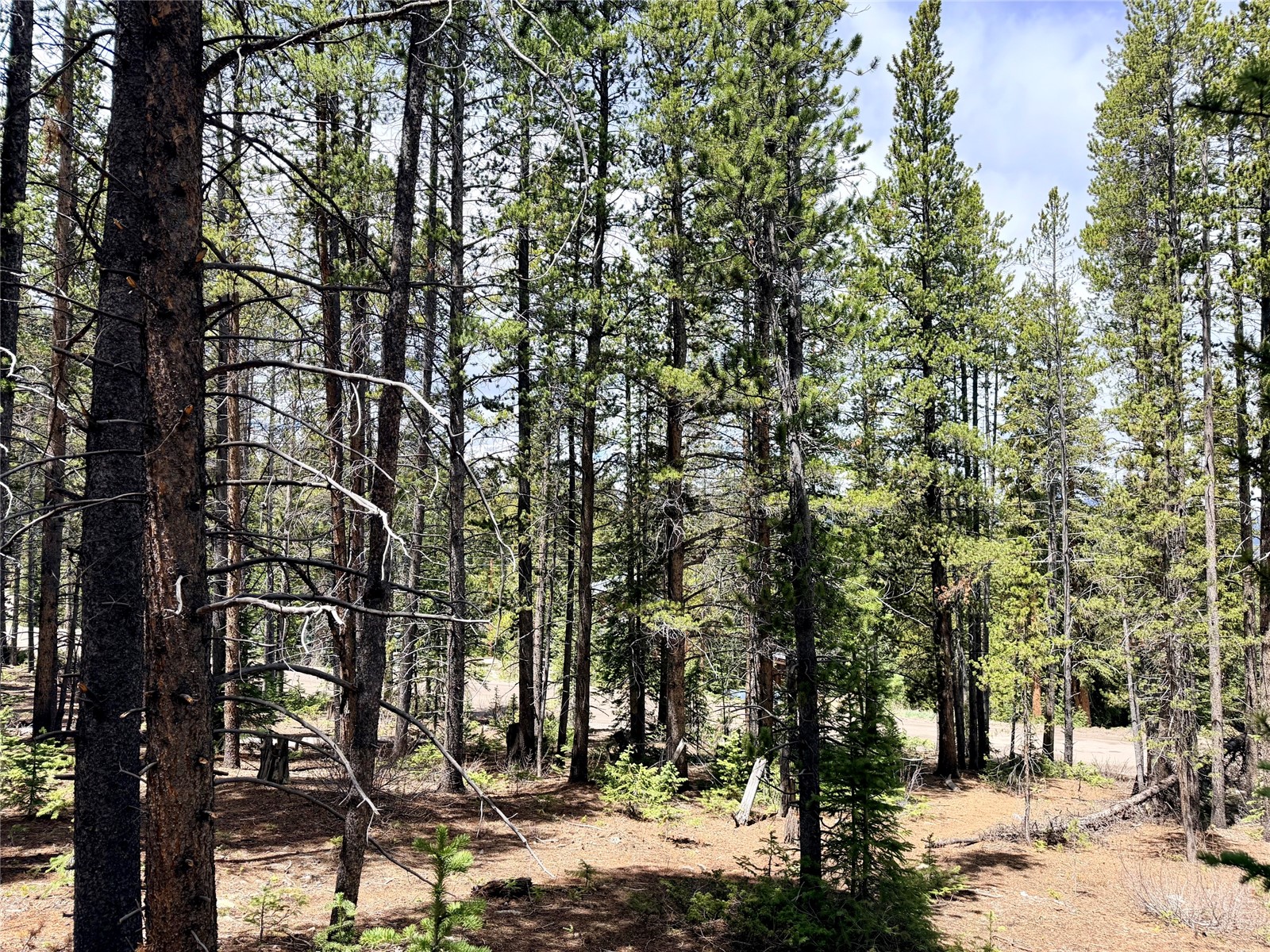 0118 Cr 535 Breckenridge CO 80424