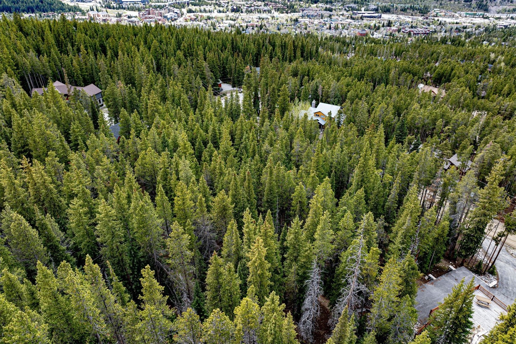 436 Moonstone Road Breckenridge CO 80424