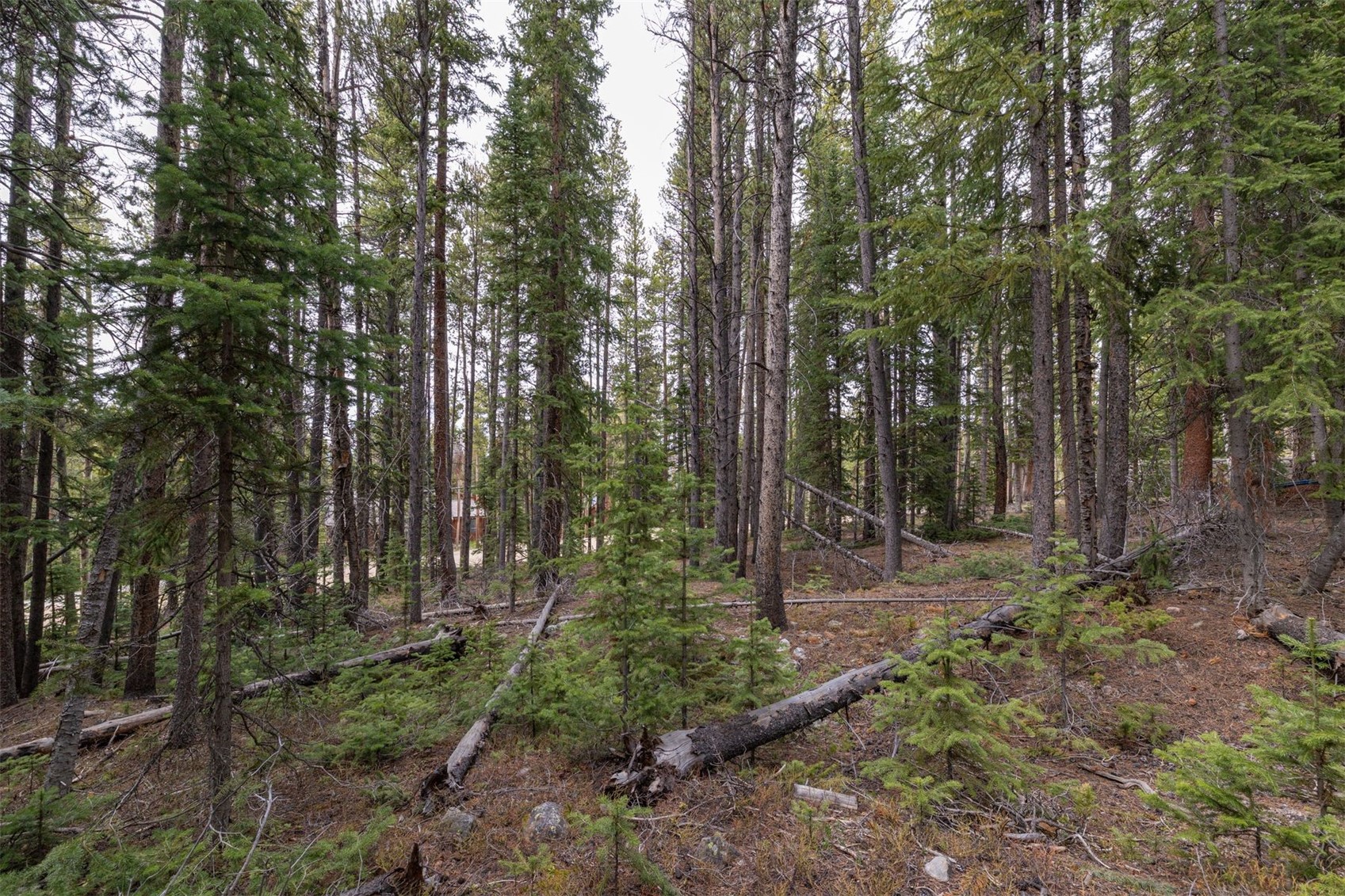 436 Moonstone Road Breckenridge CO 80424