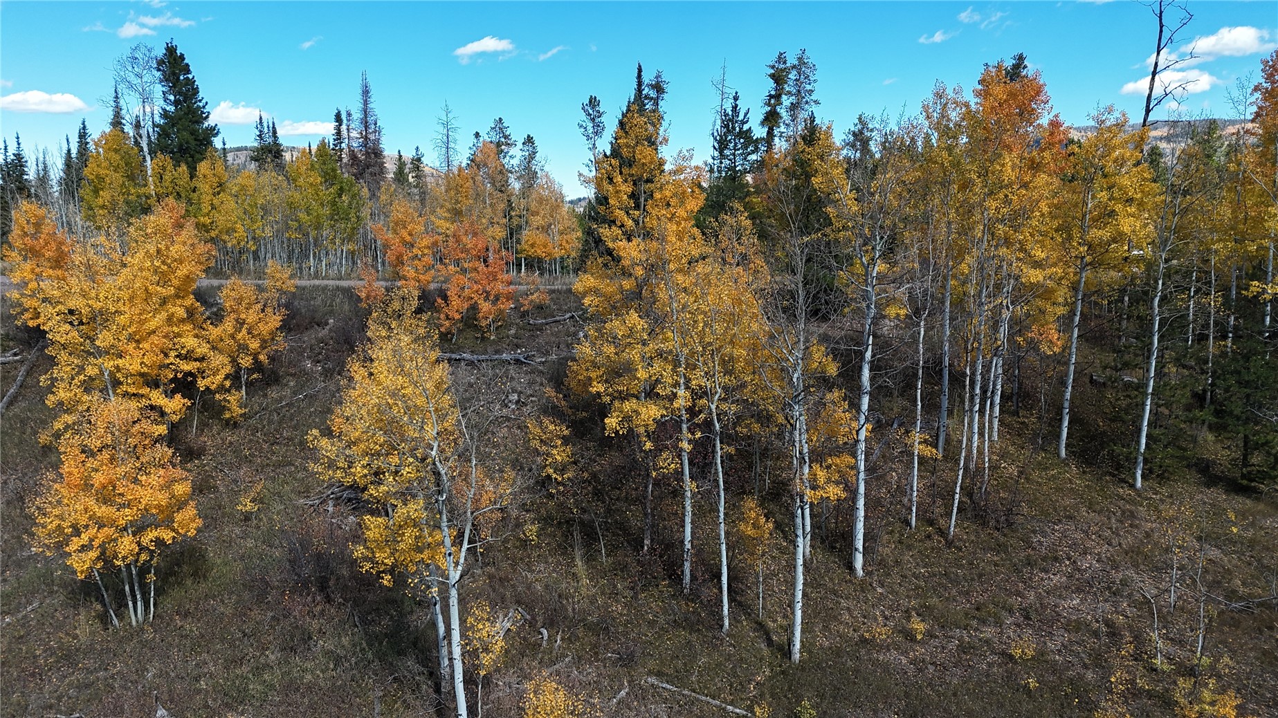 32965 Maverick Way Oak Creek CO 80467