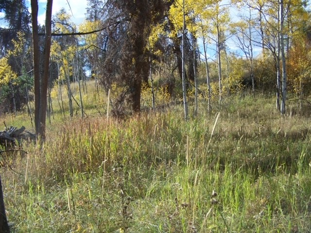 32965 Maverick Way Oak Creek CO 80467