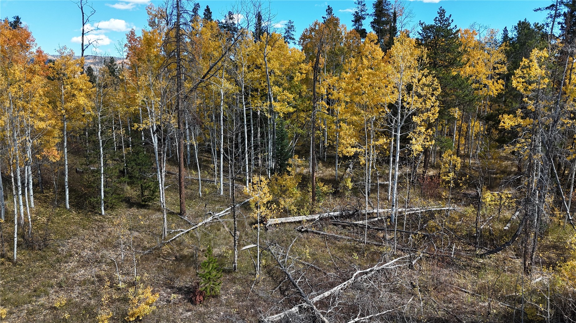 32965 Maverick Way Oak Creek CO 80467