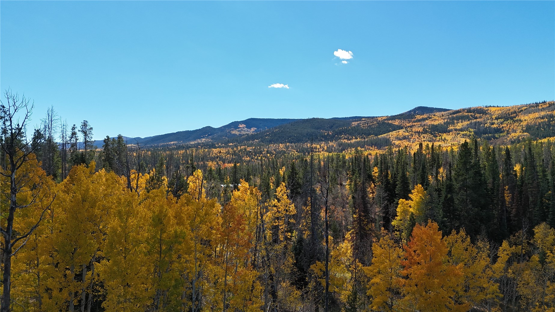 32965 Maverick Way Oak Creek CO 80467