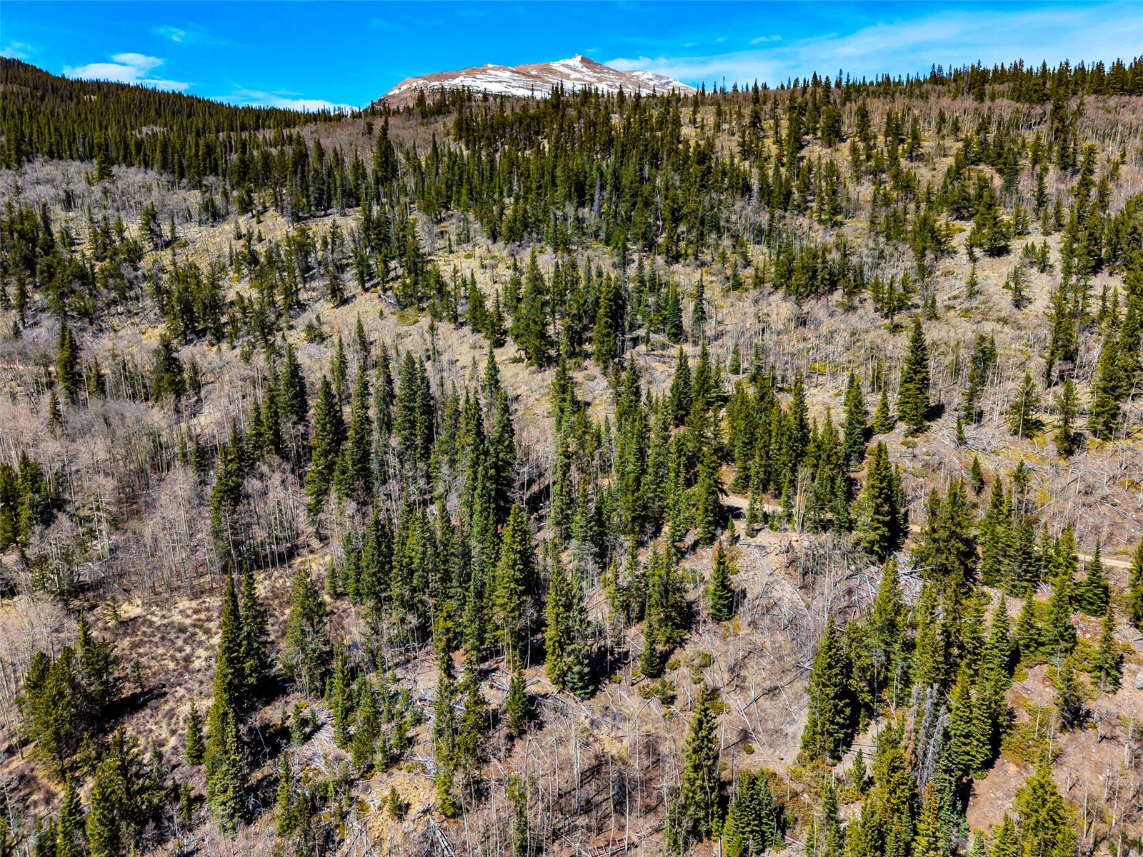 270 Co Road 667 Alma CO 80440